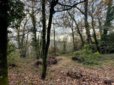 Vente Terrain BRIVE-LA-GAILLARDE 19100