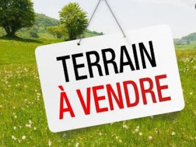 Vente Terrain SAINT-SULPICE-DE-ROYAN 17200