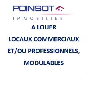 Location Local commercial MESANGER 44522