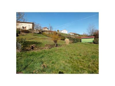 Vente Terrain BALBIGNY 42510