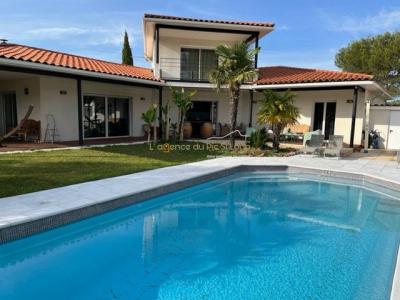 Vente Prestige SAINT-GELY-DU-FESC 34980