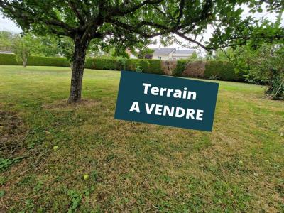 Vente Terrain POINCONNET 36330