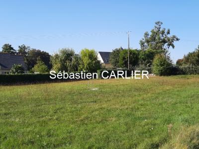 Vente Terrain DAUMERAY 49640