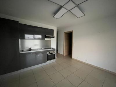 Location Appartement 2 pices SAN-NICOLAO 20230