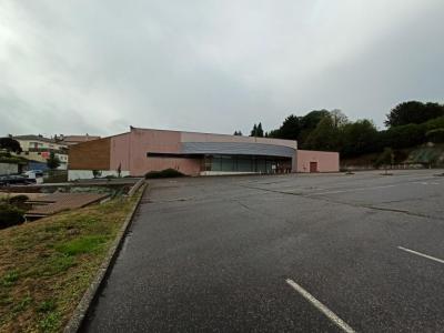 Vente Local commercial CHALUS 87230