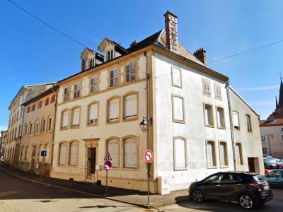 Vente Maison 14 pices RAMBERVILLERS 88700