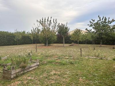 Vente Terrain SAINT-JEAN-DE-BEUGNE 85210