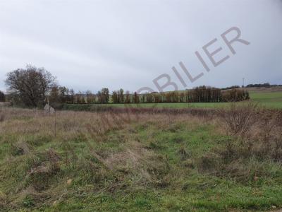 Vente Terrain VINCELLES 89290