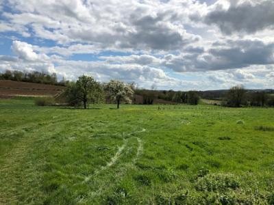 Vente Terrain GOURNAY-EN-BRAY 76220