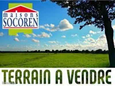 Vente Terrain HELLEVILLE 50340