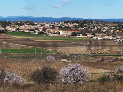 Vente Terrain PEZENAS 34120