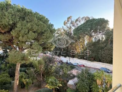 Vente Appartement 3 pices CANNES 06400