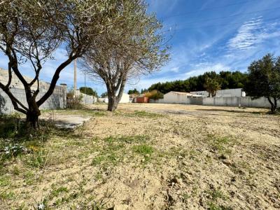 Vente Terrain POUSSAN 34560