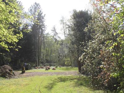 Vente Terrain CHEVREUSE 78460