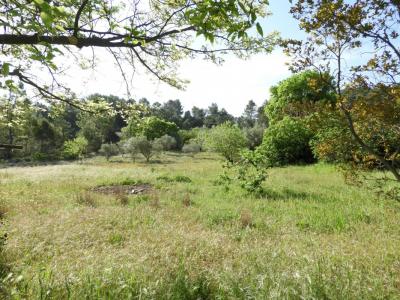 Vente Terrain CLERMONT-L'HERAULT 34800