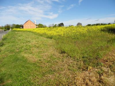 Vente Terrain SAINT-HILAIRE-LE-PETIT 51490