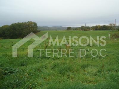 Vente Terrain DENAT 81120