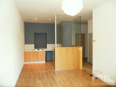 Location Appartement 2 pices SAINT-ETIENNE 42000