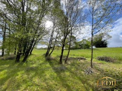 Vente Terrain MOISSAC 82200