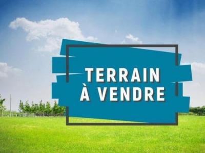 Vente Terrain SAINT-LAURENT-DE-LA-PLAINE 49290