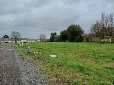 Vente Terrain BEAUVOIR-SUR-MER 85230