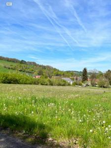 Vente Terrain SOULIGNY 10320