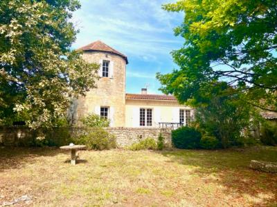 Vente Domaine agricole SAINT-ESTEPHE 33180