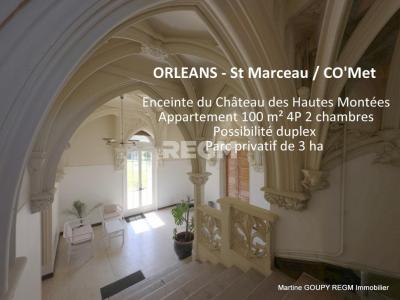 Vente Appartement 4 pices ORLEANS 45100