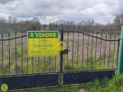 Vente Terrain GUERCHE-SUR-L'AUBOIS 18150