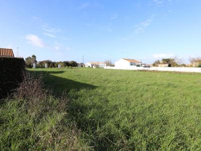 Vente Terrain SAINT-PIERRE-D'OLERON 17310