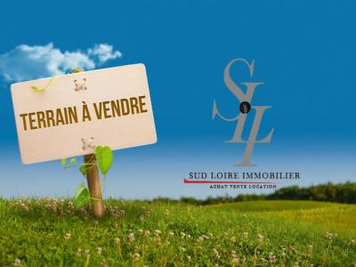 Vente Terrain VINEUIL 41350