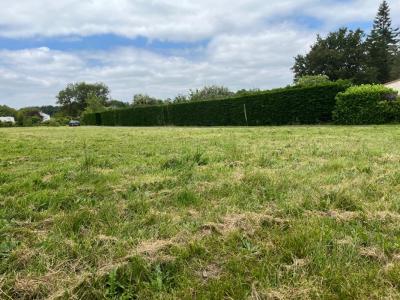 Vente Terrain SAINT-SULPICE-ET-CAMEYRAC 33450