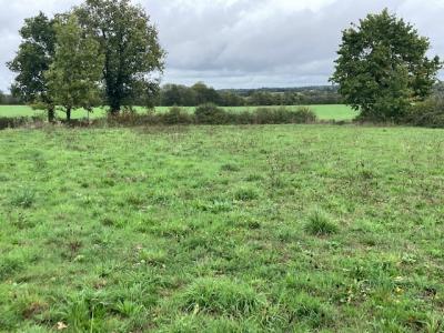 Vente Terrain NIEUL-LE-DOLENT 85430