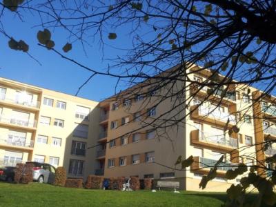 Location Appartement 4 pices CONTREXEVILLE 88140