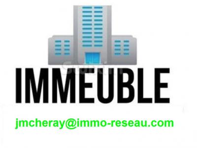 Vente Immeuble ANGERS 49000