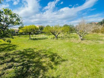 Vente Terrain VILLELONGUE-DE-LA-SALANQUE 66410