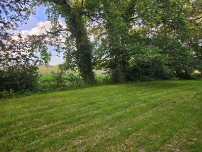 Vente Terrain SAINT-CYR-SUR-MENTHON 01380