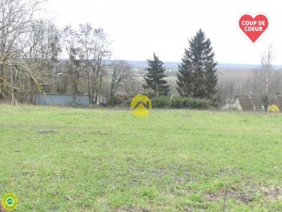 Vente Terrain LANGEAIS 37130