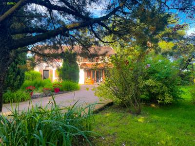 Vente Maison 6 pices NEUVILLE-LES-DAMES 01400