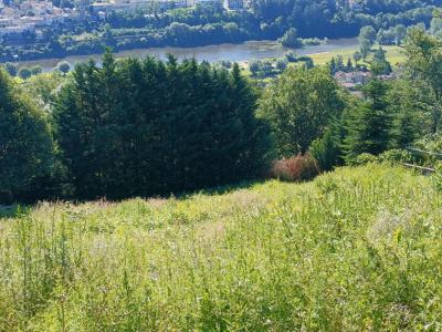 Vente Terrain AUREC-SUR-LOIRE 43110