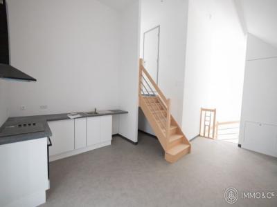 Location Appartement 3 pices AVELIN 59710