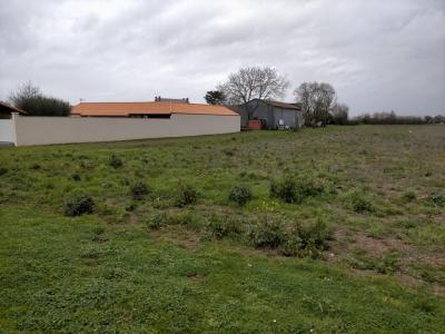 Vente Terrain SAINT-JUST-LUZAC 17320