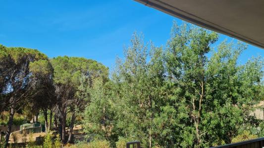 Vente Appartement 3 pices SAINTE-MAXIME 83120