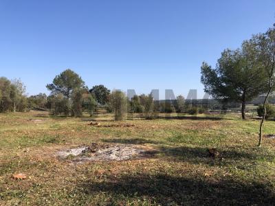 Vente Terrain UZES 30700