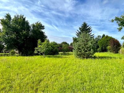 Vente Terrain GREZ-SUR-LOING 77880