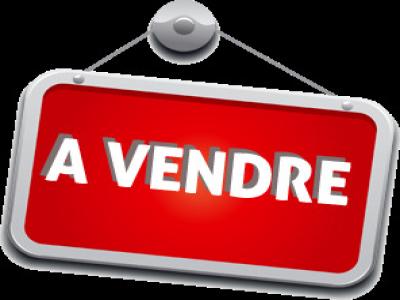 Vente Local commercial RUFFEC 16700