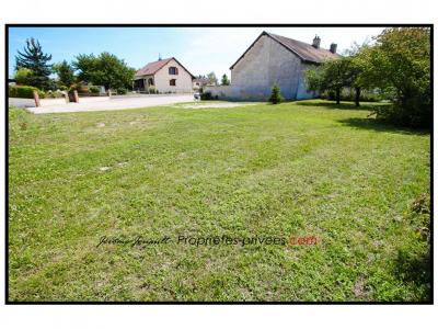 Vente Terrain AULNAY-SUR-MARNE 51150