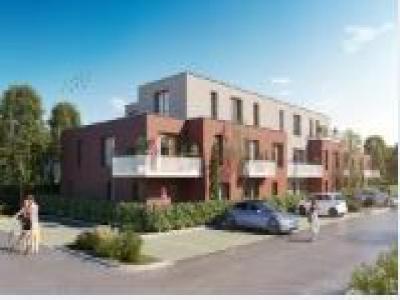 Location Appartement 2 pices NIEPPE 59850