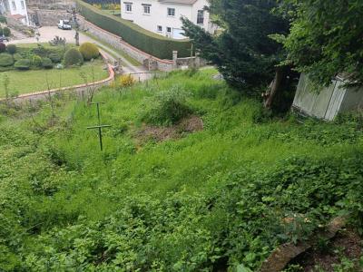 Vente Terrain SAINT-DIDIER-EN-VELAY 43140