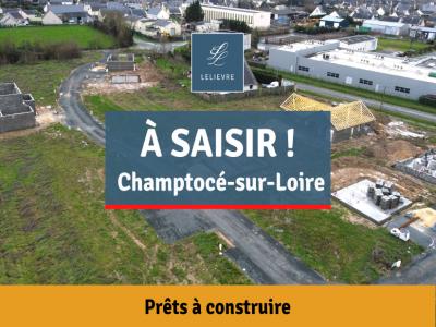 Vente Terrain CHAMPTOCE-SUR-LOIRE 49123